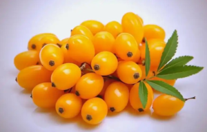 Sea buckthorn Pulp Oil