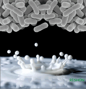 Anti Freeze Protein (AFP)