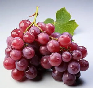 grape seed extract