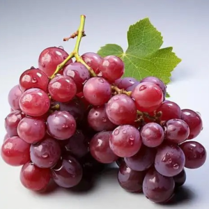grape seed extract