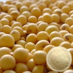 Soy Protein Powder