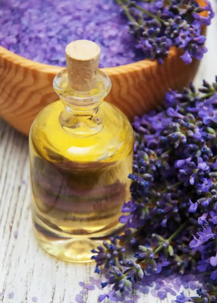 Perilla seed oil